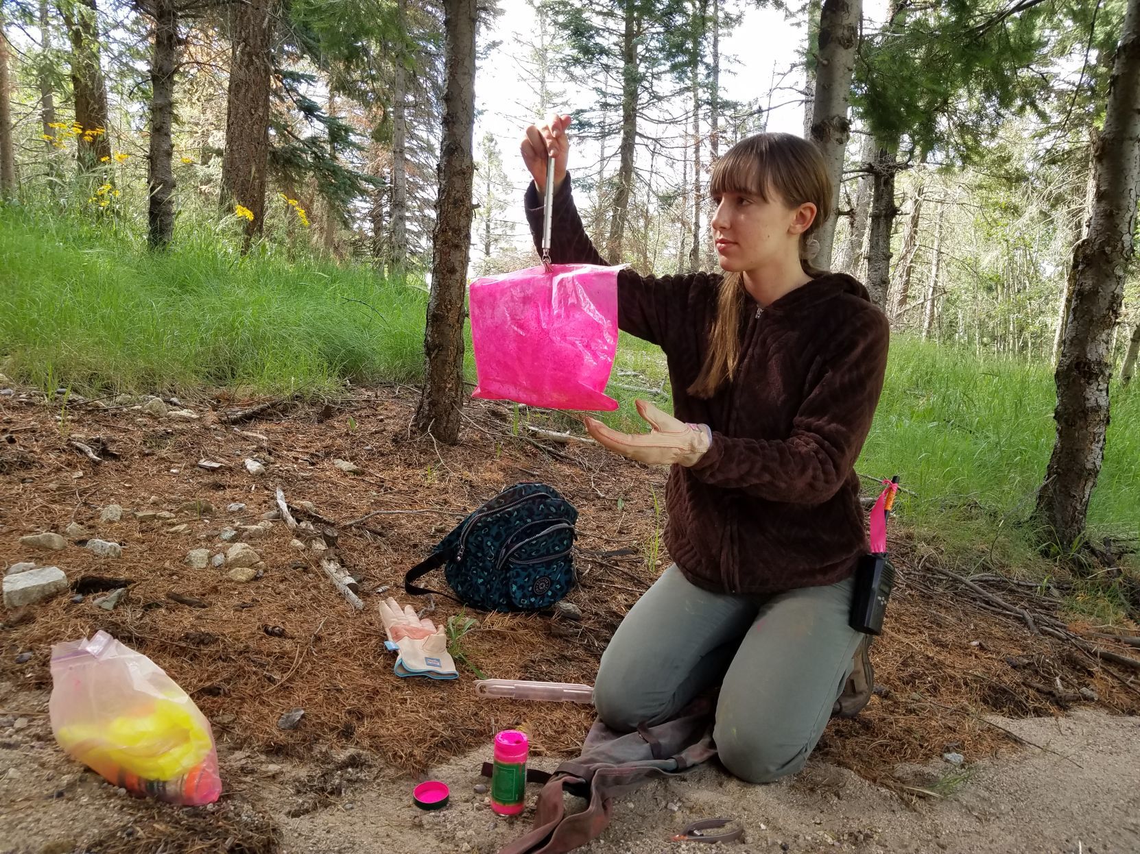 Sandy Slovikosky, pack rat research